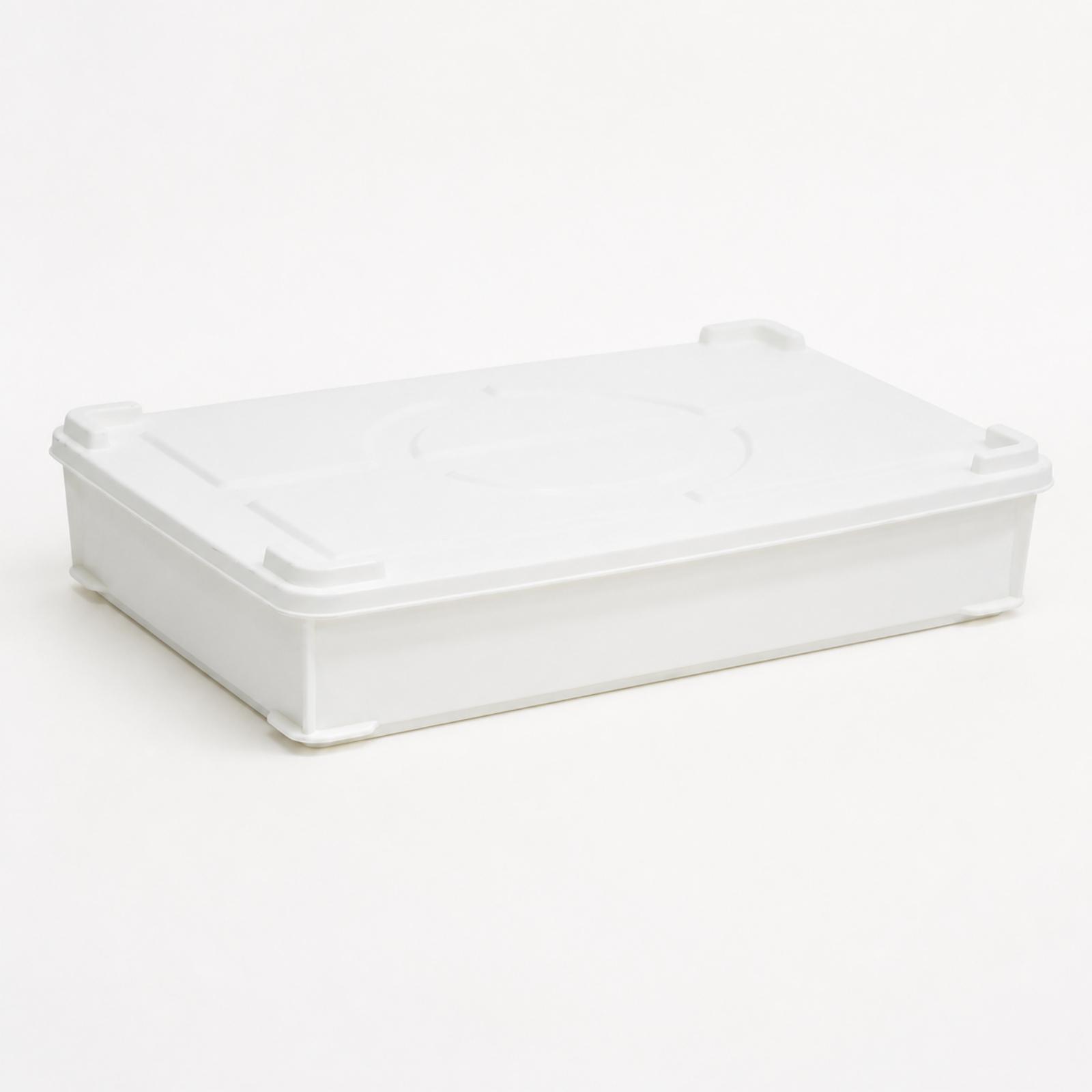 HDPE-fermentatiebox voor deeg, - Food Storage Containers recensie en prijs